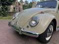 Volkswagen Kever 1965 L572 Panama Beige Original Paint Matching # Beige - thumbnail 20