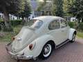 Volkswagen Kever 1965 L572 Panama Beige Original Paint Matching # Beige - thumbnail 6