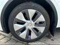 Tesla Model Y Model Y Long Range Dual Motor AWD - thumbnail 9