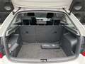 Skoda Rapid/Spaceback 1.2 PDC Sitzh BC Steuerkette gemacht Weiß - thumbnail 8