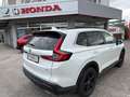 Honda CR-V CR-V 2,0 i-MMD e:HEV Advance AWD Aut. Advance Weiß - thumbnail 6