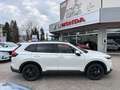 Honda CR-V CR-V 2,0 i-MMD e:HEV Advance AWD Aut. Advance Weiß - thumbnail 5