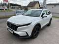 Honda CR-V CR-V 2,0 i-MMD e:HEV Advance AWD Aut. Advance Weiß - thumbnail 1