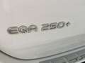 Mercedes-Benz EQA 250+ + progressive Blanco - thumbnail 12