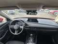 Mazda CX-30 SKYACTIV-G 2.0 M Hybrid 6AG AL-SELECTION A18 DES-P Rot - thumbnail 4