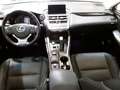 Lexus NX 300 300h Corporate 2WD - thumbnail 11