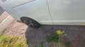 Volkswagen T5 Caravelle Lang Trendline Weiß - thumbnail 4