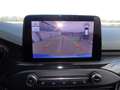 Ford Focus 1.5 EcoBlue 120 CV 5p. ST Line Blu/Azzurro - thumbnail 14