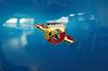 Abarth 695 Tributo 131 Rally MTA Beats Navi 1 of 695 DE Bleu - thumbnail 16