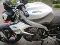 Aprilia Tuono 457 - MY25 - Sofort verfügbar!! Gris - thumbnail 10