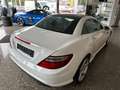 Mercedes-Benz SLK 200 BlueEfficiency*AMG*TOP*GARANTIE Weiß - thumbnail 16