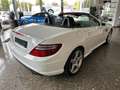 Mercedes-Benz SLK 200 BlueEfficiency*AMG*TOP*GARANTIE Weiß - thumbnail 5