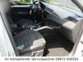 SEAT Arona Xcellence 1,0 TSI LED NAVI KAMERA ACC 5J G Blanc - thumbnail 10