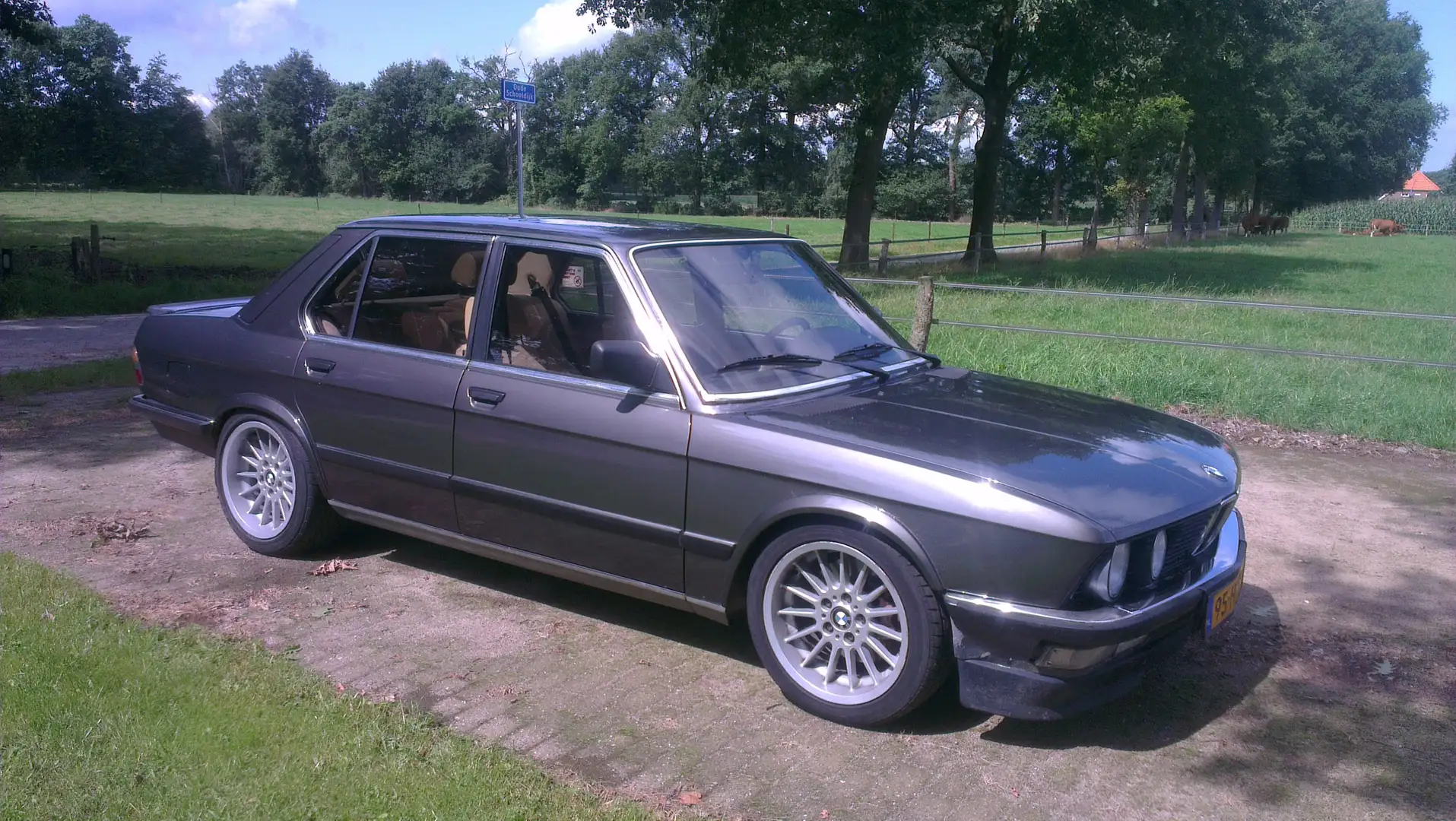 BMW 528 528i 535i M535i E28 1984 project dogleg Gris - 2