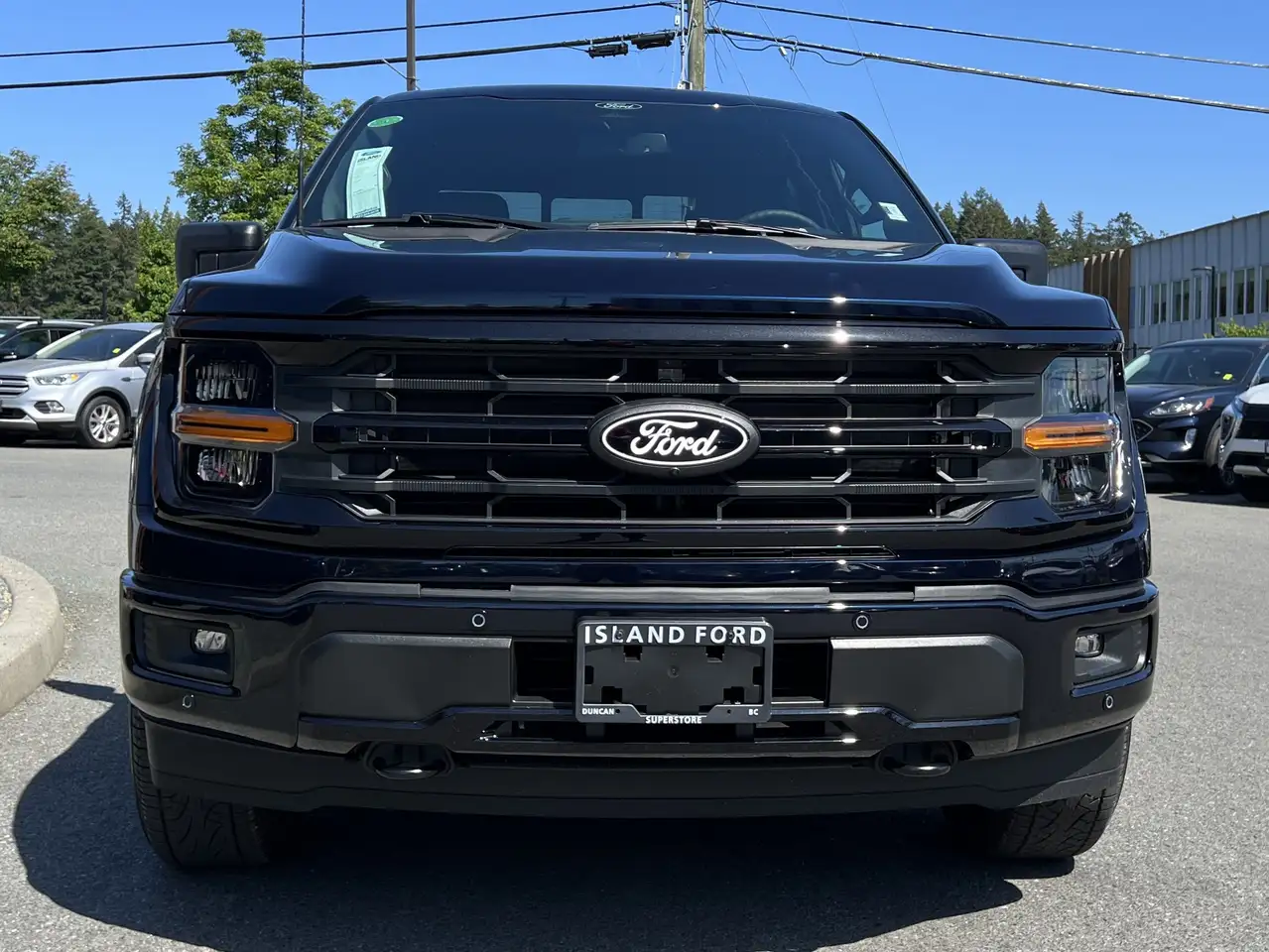 Ford F 150 снимка Ford F 150