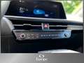 Kia EV6 RWD Pro /LED/Navi/Bluetooth/ Grau - thumbnail 13