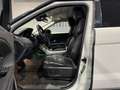 Land Rover Range Rover Evoque 2.0 TD4 150 CV 5p. HSE Dynamic ***SENZA VINCOLI*** Blanc - thumbnail 12