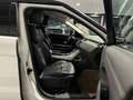 Land Rover Range Rover Evoque 2.0 TD4 150 CV 5p. HSE Dynamic ***SENZA VINCOLI*** Blanc - thumbnail 15
