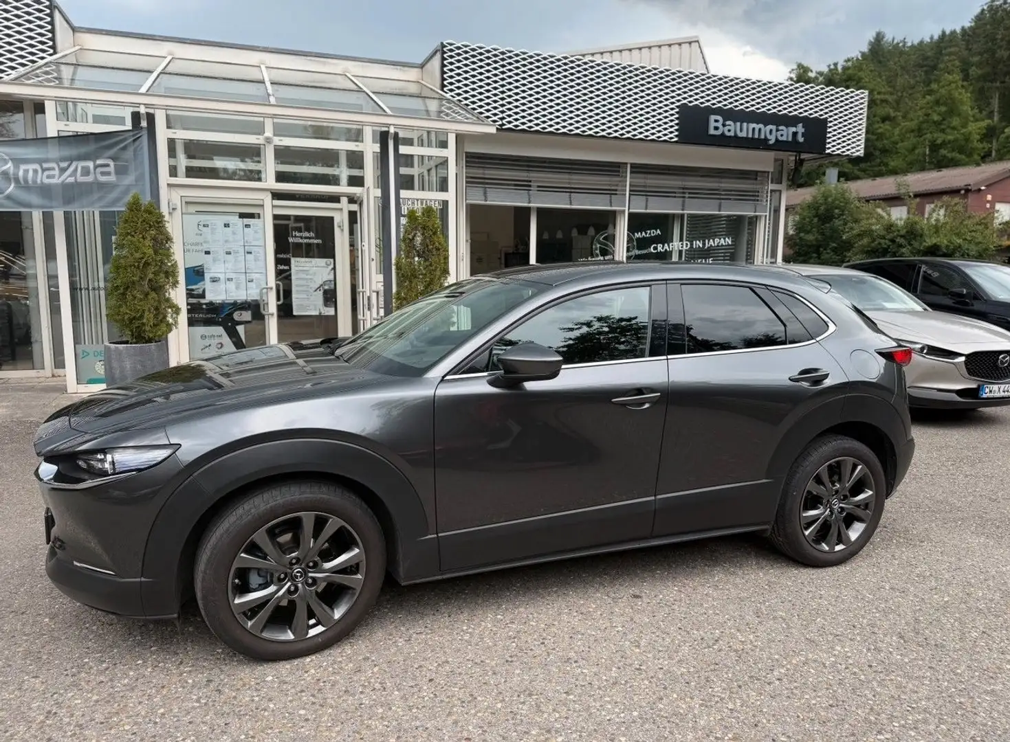 Mazda CX-30 Sele,AWD,Des.P+Pre.P.Leder-S+18-B,AHK Grau - 2