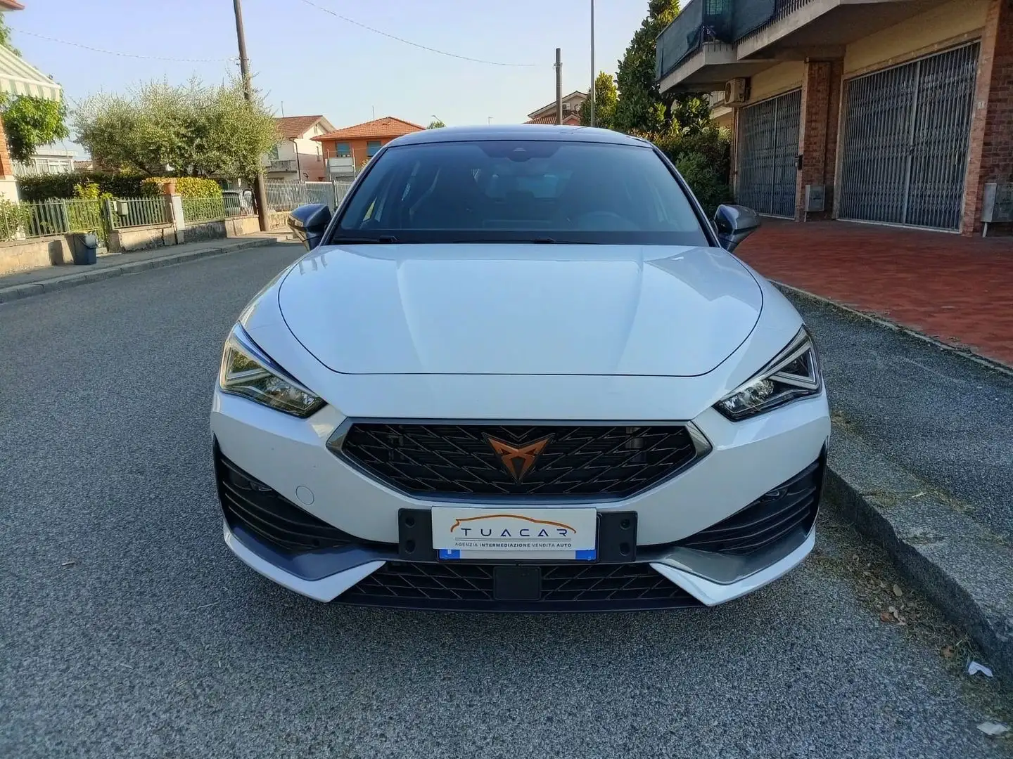 CUPRA Leon Leon Carbon 1.5 eTSI MHEV Wit - 2