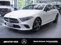 Mercedes-Benz CLS 400 d 4M KLIMA NAVI AHK 360°-KAM LED NIGHT Weiß - thumbnail 6