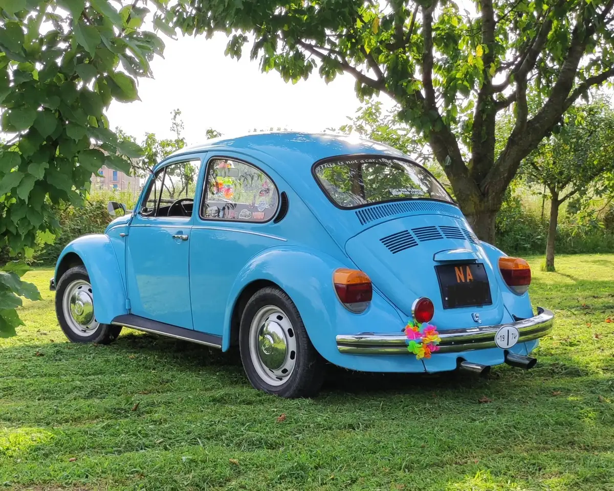 Volkswagen Maggiolino