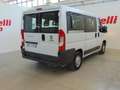 Fiat Ducato 30 CH1 2.3 MULTIJET 16V 150CV 6M E6 9 POSTI. Blanc - thumbnail 2