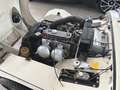Austin-Healey Sprite MK1 Preis VHB Bianco - thumbnail 8