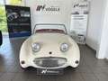Austin-Healey Sprite MK1 Preis VHB Bianco - thumbnail 1