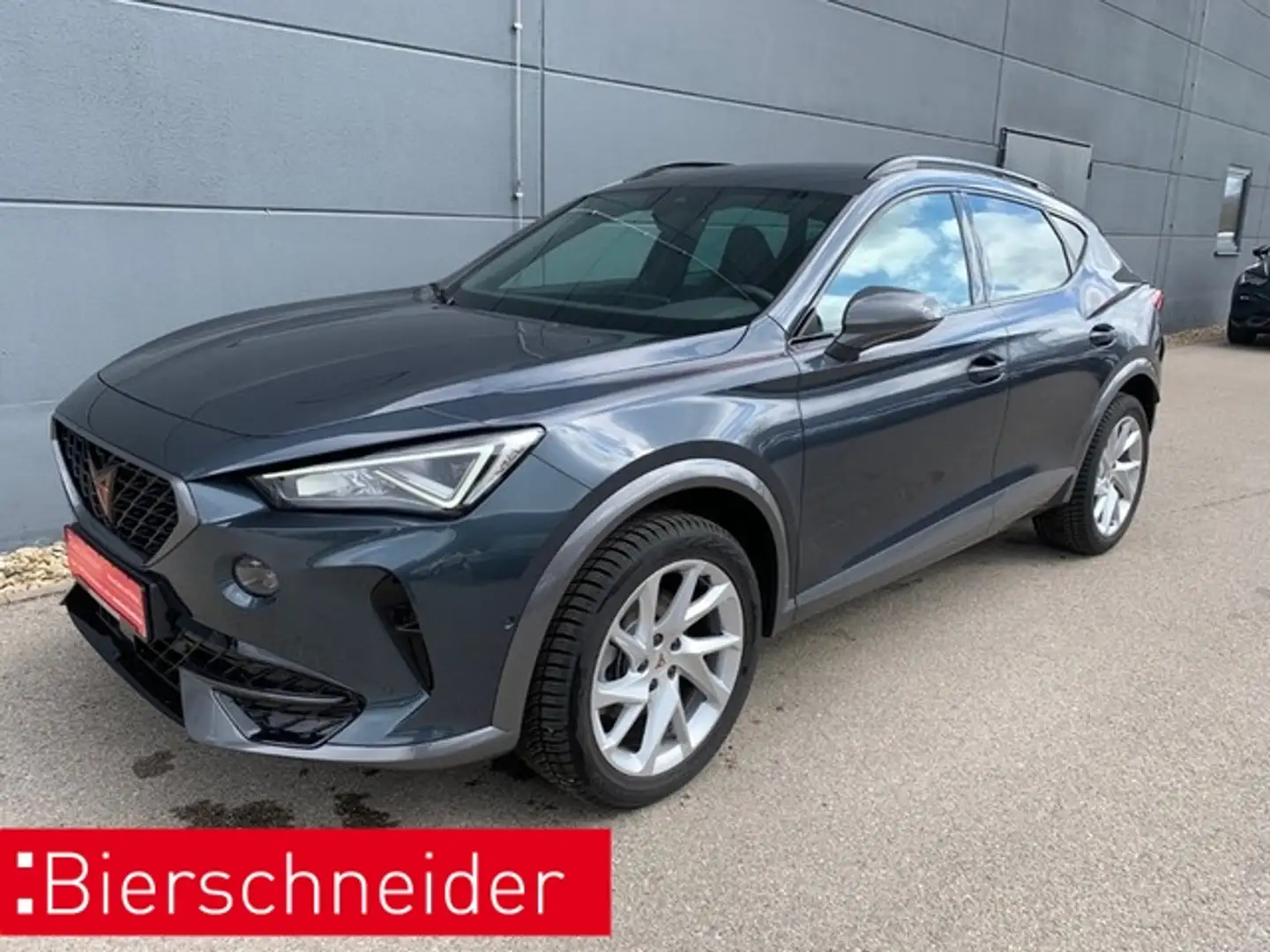 CUPRA Formentor 2.0 TDI DSG 4Drive 5-J-GARANTIE Kamera LED Grau - 1