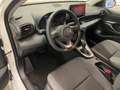 Toyota Yaris Yaris 1.5h hybrid ACTIVE - thumbnail 6