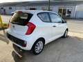Kia Picanto Picanto 1.0i Easy Blanc - thumbnail 14