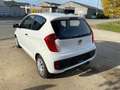 Kia Picanto Picanto 1.0i Easy Blanco - thumbnail 13