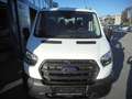 Ford Transit TRANSIT PRITSCHENWAGEN DOPPELKABINE FRONTANTRIE... Weiß - thumbnail 8