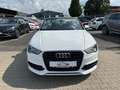 Audi A3 Cabrio 2.0 TDI ambition Leder/ Bi-Xenon/PDC Blanc - thumbnail 3