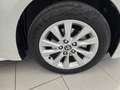 Toyota Corolla Touring Sports 140H Active Plus Blanco - thumbnail 24