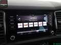 Skoda Kodiaq Kodiaq 2.0 TSI 4x4 PANO,MEMORY,KEYLESS,AHK,1.HD Grau - thumbnail 20