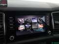 Skoda Kodiaq Kodiaq 2.0 TSI 4x4 PANO,MEMORY,KEYLESS,AHK,1.HD Grau - thumbnail 19