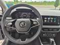 Skoda Fabia Selection Grau - thumbnail 12