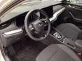 Skoda Octavia Combi 1.5 TSI mHEV 110 kW Selection Wit - thumbnail 8