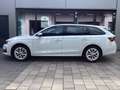 Skoda Octavia Combi 1.5 TSI mHEV 110 kW Selection Wit - thumbnail 1