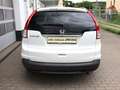 Honda CR-V Executive 2.0i-VTEC 4WD DAB+Leder RS SHZ Weiß - thumbnail 4