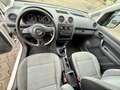 Volkswagen Caddy Kasten/Kombi Kasten EcoProfi*151.000 km* Weiß - thumbnail 11
