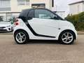 smart forTwo coupe 84PS mit Servo Weiß - thumbnail 3