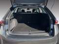 Skoda Octavia Combi Selection 2.0 TDI DSG LED NAVI Grau - thumbnail 14