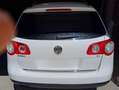 Volkswagen Passat Variant Passat Variant 2.0TDI CR Edition Plus 110 Blanco - thumbnail 3