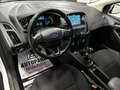 Ford Focus Business 1.5 *NAVI* Weiß - thumbnail 15
