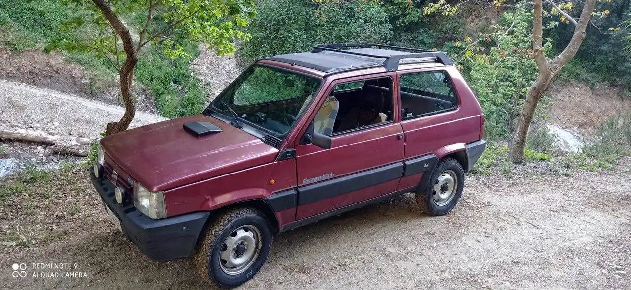 Fiat Panda 1.1 Country Club 4x4 cat., foto 4