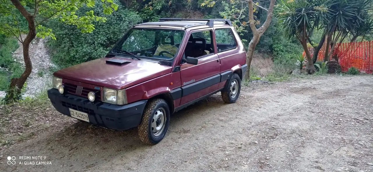Fiat Panda 1.1 Country Club 4x4 cat., foto 3