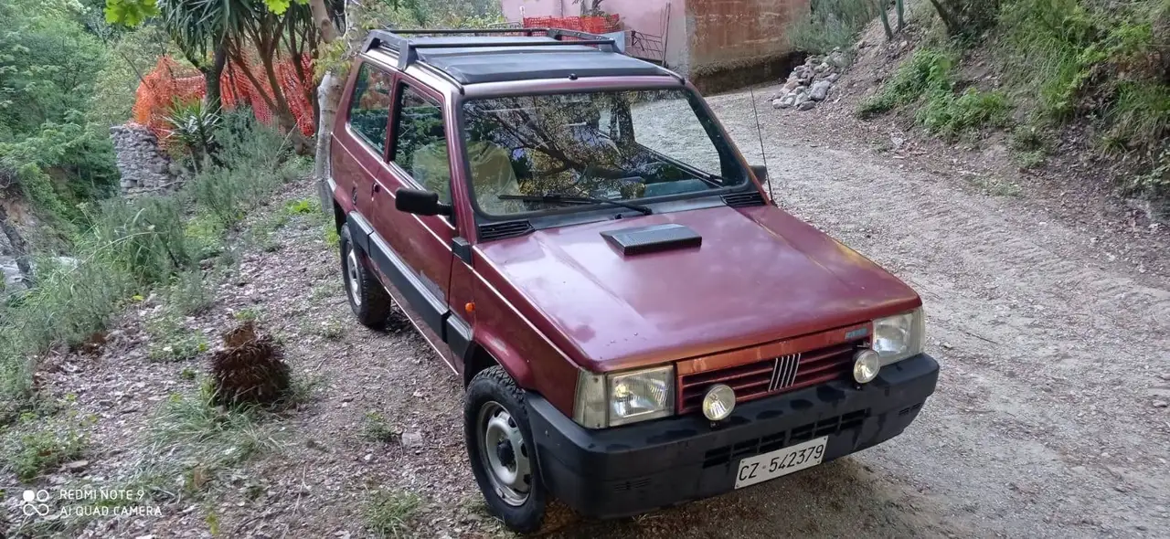 Fiat Panda 1.1 Country Club 4x4 cat., foto 1